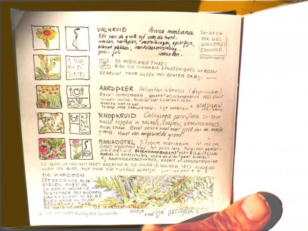 Onbetaalbaar plantenboekje van Alowieke